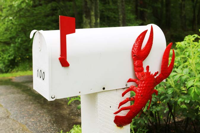 In Neu-England, dem Lobster Land, gibt es die Hummer sogar an Briefkästen zu sehen