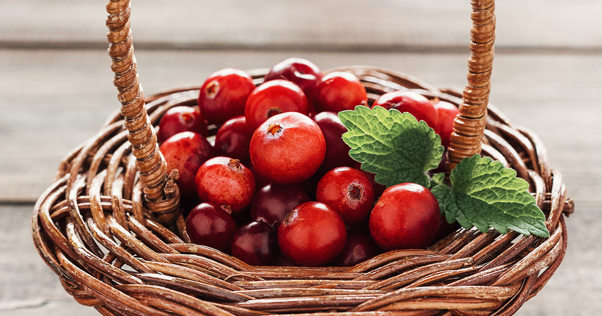 Unsere besten Cranberry Produkte neu interpretiert